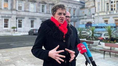 Bacik criticises 'lack of solid commitment' from Government on storm resilience