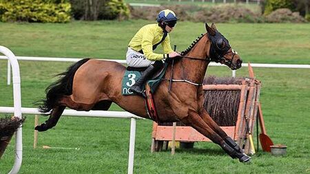 Jockey Michael O’Sullivan transferred to hospital by air ambulance after Thurles fall
