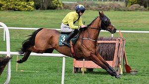 Jockey Michael O’Sullivan transferred to hospital by air ambulance after Thurles fall