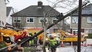 ESB chief’s claim customers will cover storm costs ‘insensitive’ — Tánaiste ESB chief’s claim customers will cover storm costs ‘insensitive’ — Tánaiste