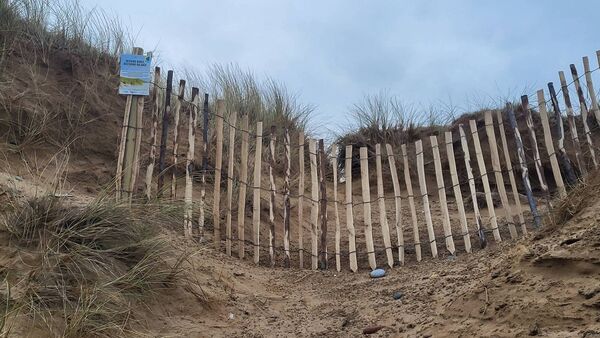 A novel way of rebuilding and protecting Tramore's iconic sand dunes