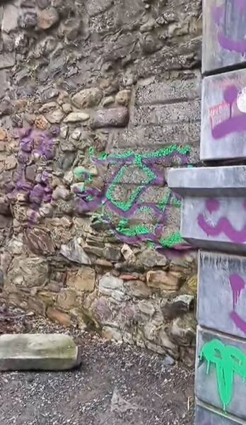 Vandalism in Wyse Park last week. Vandalism in Wyse Park last week.