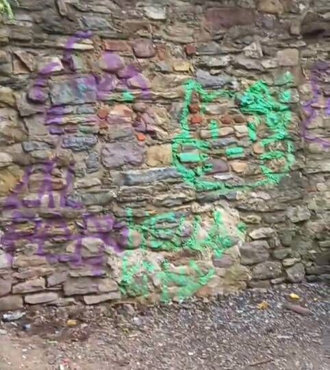 Vandalism in Wyse Park last week. Vandalism in Wyse Park last week.
