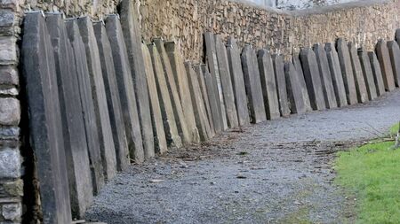 Vandals target centuries-old tombstones in historic Waterford park