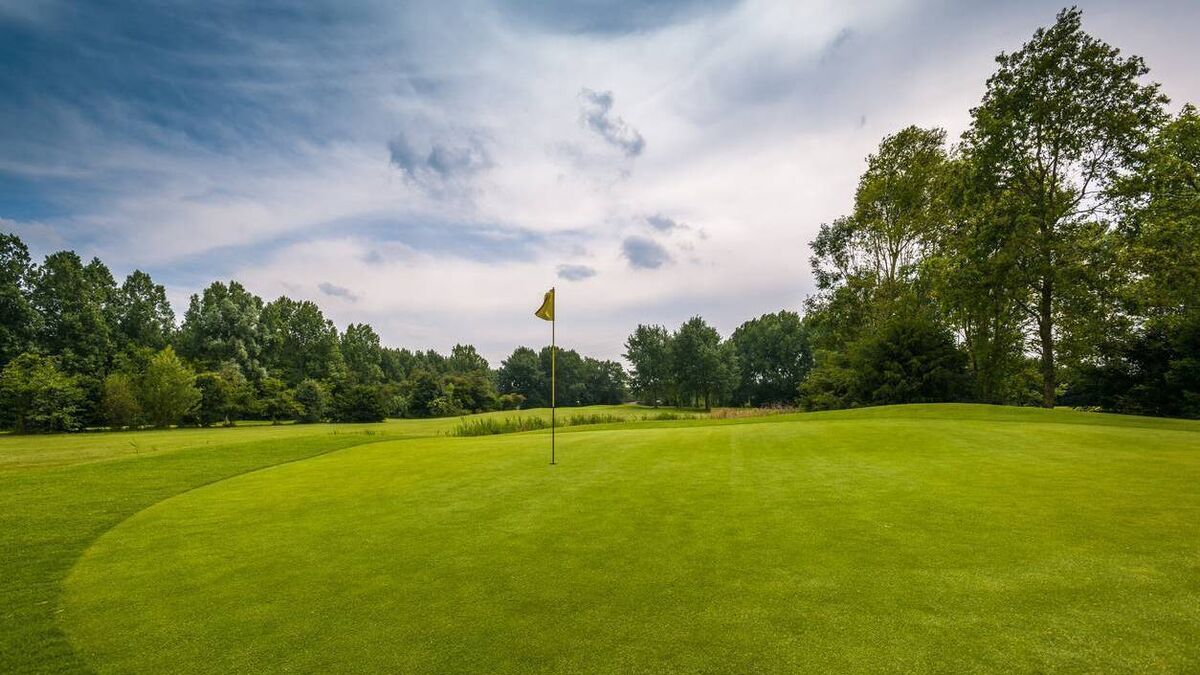 Lismore Golf Club restaurant served closure order due to rat droppings in kitchen area