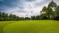 Lismore Golf Club restaurant served closure order due to rat droppings in kitchen area