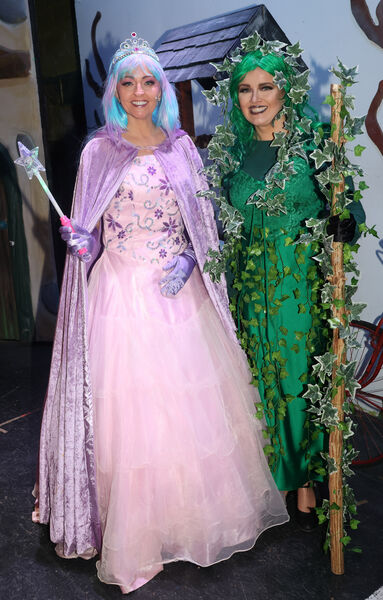 Samantha Brennan, Mother Nature and Niamh Doherty, Poison Ivy, in Portlaw Musicial Society , production of Jack and the Beanstalk, at Premier Hall, Portlaw. Photo: Joe Evans