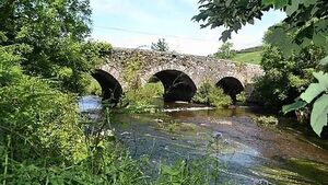 Sadness as woman's remains found in Waterford home at foothills of the Comeragh Mountains