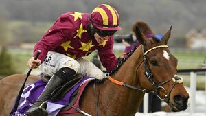 Henry de Bromhead eyeing up Grand National success with former Cheltenham Gold Cup winner