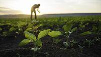 Minister Heydon issues a €3 million call for proposals for the further promotion and development of the organic sector