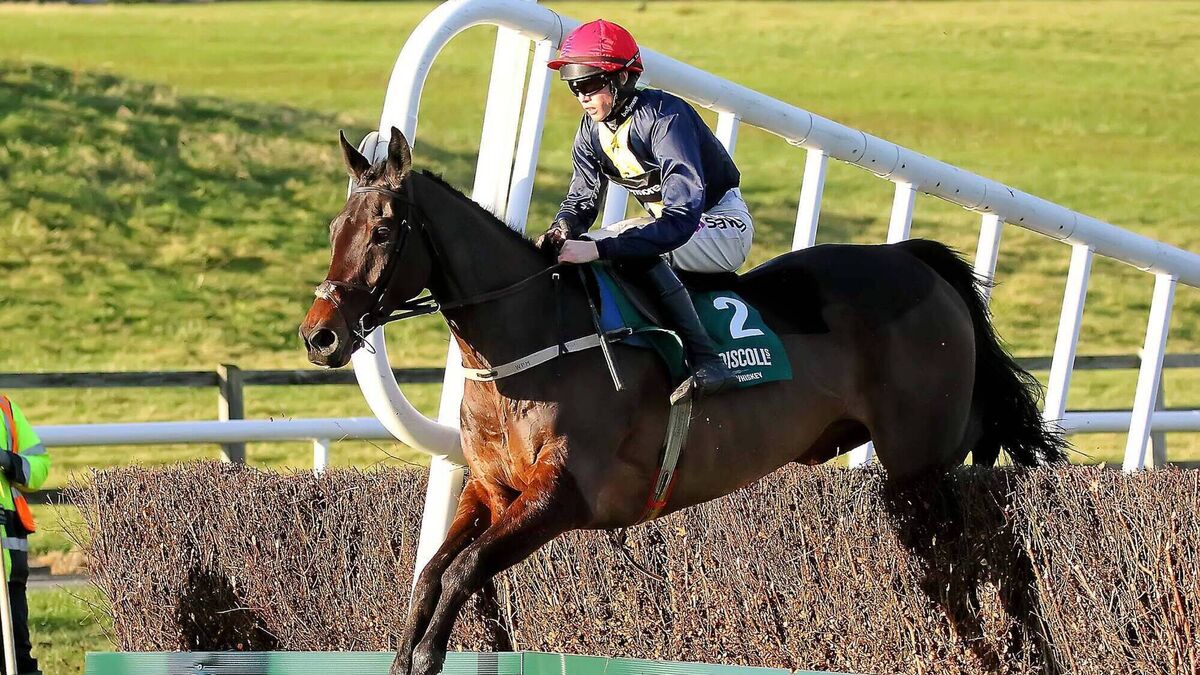 Horse racing mourns the tragic death of jockey Michael O’Sullivan