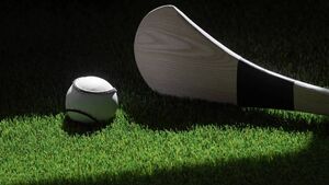 Waterford hurling's 'golden age' to be recalled at talk