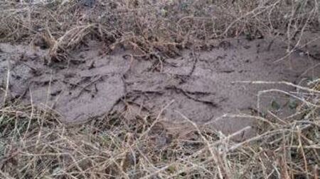 Appeal for information on slurry dumping incident in Waterford