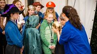 Blackwater Valley Opera Fest hosting exciting student workshops
