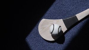 Local Notes: Camogie news, community resource hub and soccer news