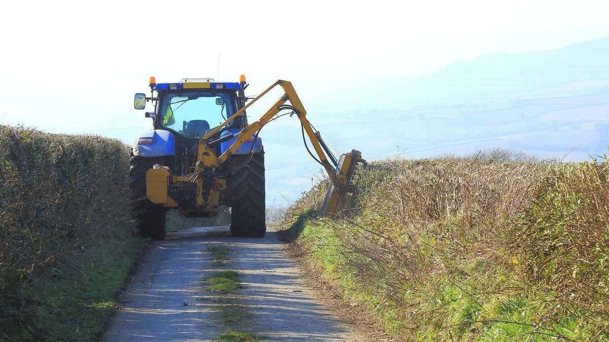Call for action on overhanging trees and hedgerows in rural Waterford