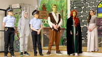 Ballyduff Youth Drama's 'Shrek Saves Far Far Away' 