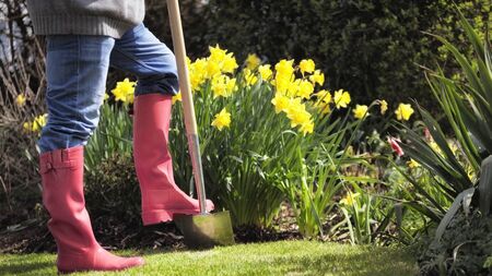 Green Fingers: A burst of enthusiasm