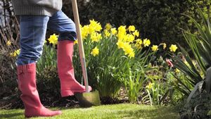 Green Fingers: A burst of enthusiasm Green Fingers: A burst of enthusiasm