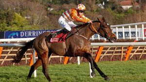 High-rated hurdler ready to give Henry de Bromhead a welcome pre-Cheltenham Festival winner
