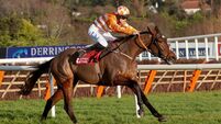 High-rated hurdler ready to give Henry de Bromhead a welcome pre-Cheltenham Festival winner 