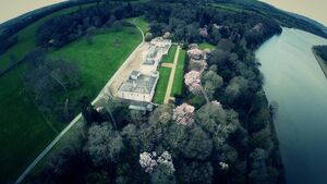 Majestic magnolias at Mount Congreve in Waterford 