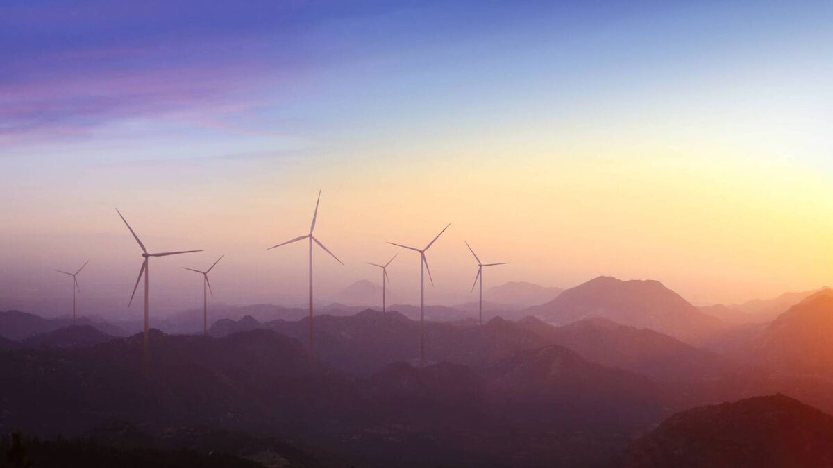 Council to oppose Waterford turbine plan in wind 'no-go area'