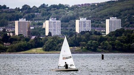 Belfast Lough shellfish industry collapsing in ‘real time’ as water quality drops