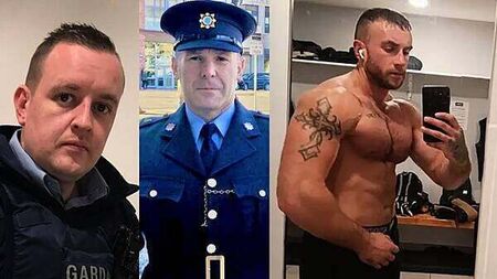 Bodybuilder (29) withdraws appeal against sentence for intentionally ramming gardaí in Limerick