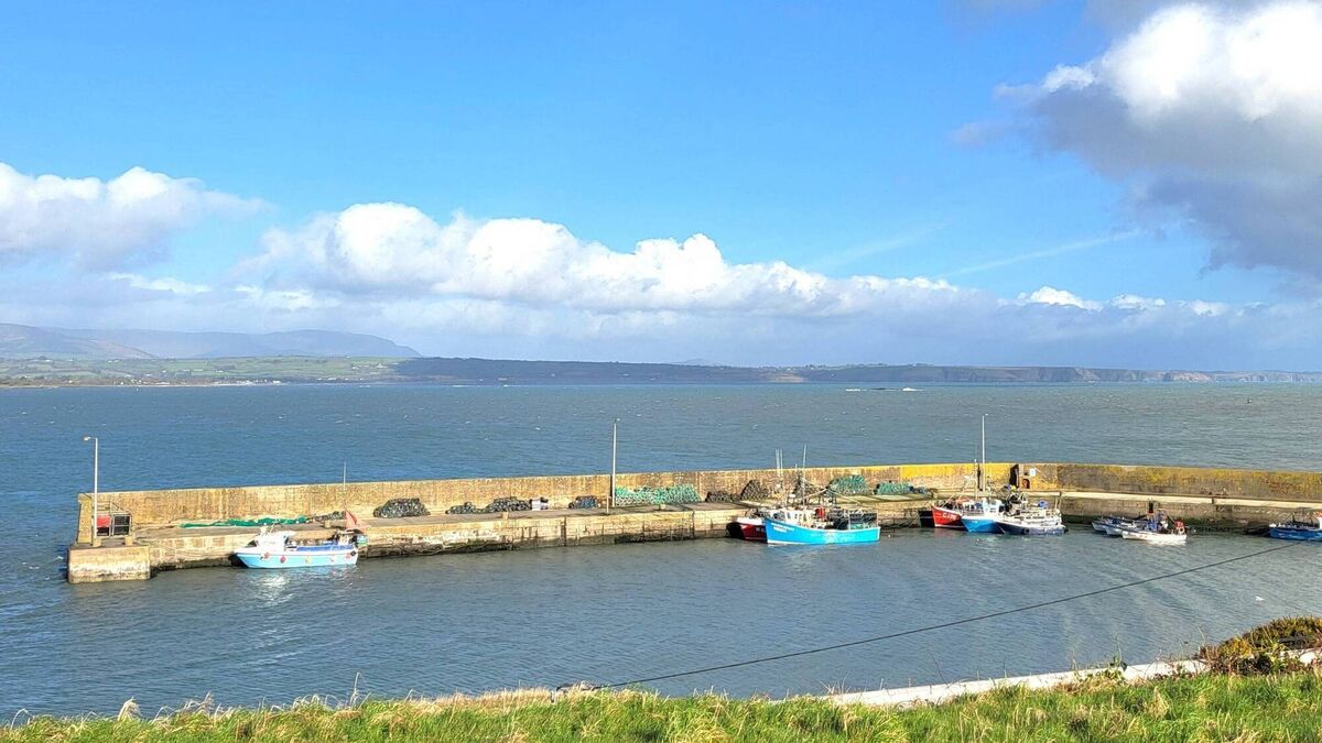 'Breakthrough' hailed in Waterford dredging project stalemate