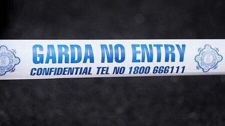 Gardaí investigating after criminal damage to headstone in Limerick