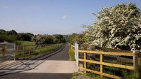Meeting told 14km of South East Greenway completed or substantially completed says Kilkenny Council