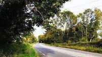 N24 Scheme ‘not ruled out’ despite lack of funding