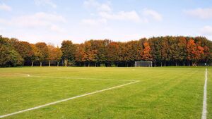 Waterford soccer club seeking permission for impactful expansion plans