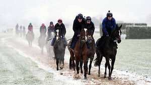 ‘Fool’s spring’ fears as snow hits Cheltenham three days after 18C temperatures