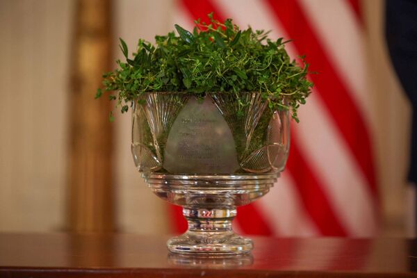 The House of Waterford shamrock bowl presented to US President Donald Trump by Taoiseach Micheal Martin at the annual shamrock ceremony as part of St. Patrick's Day celebrations in the White House. Photo: Tasos Katopodis / Government of Ireland 
