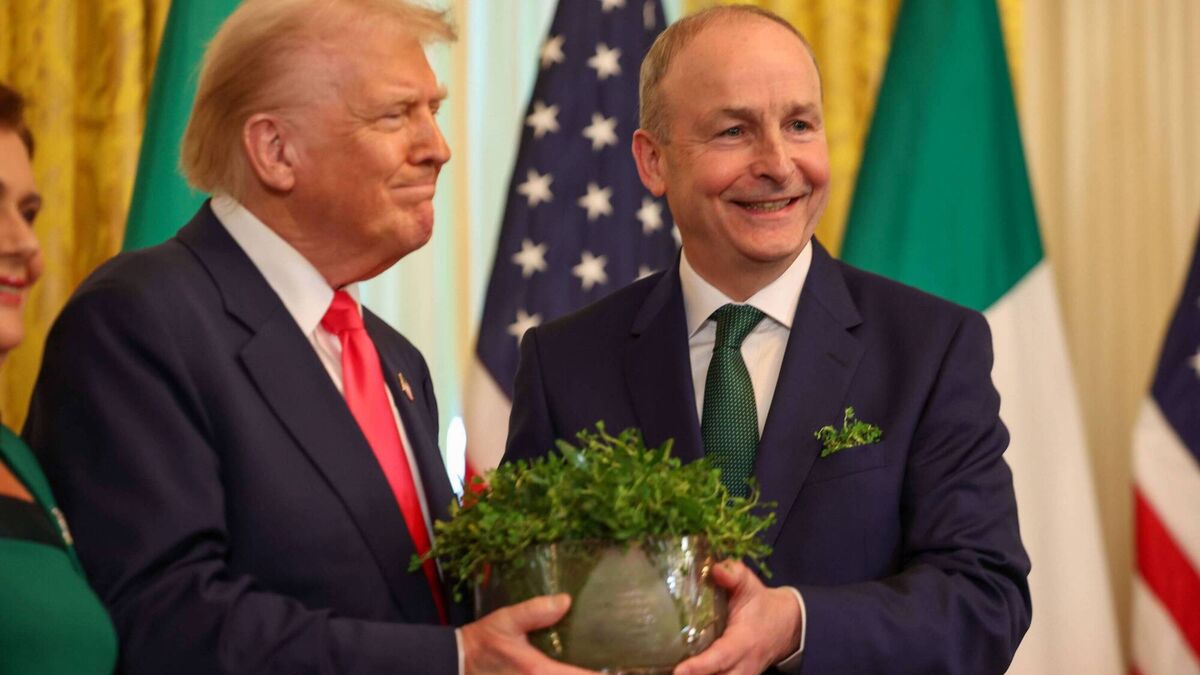 Donald Trump gifted Waterford shamrock bowl