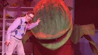View from the Green Room: Little Shop rocks Waterford's De La Salle College