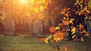 New scheme for graveyard maintenance coming soon