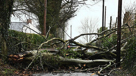 'Absolutely no need for red warning': Met Éireann received complaints over Storm Éowyn forecast