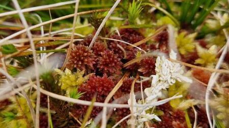 Six Waterford communities receive over €30,000 in biodiversity funding
