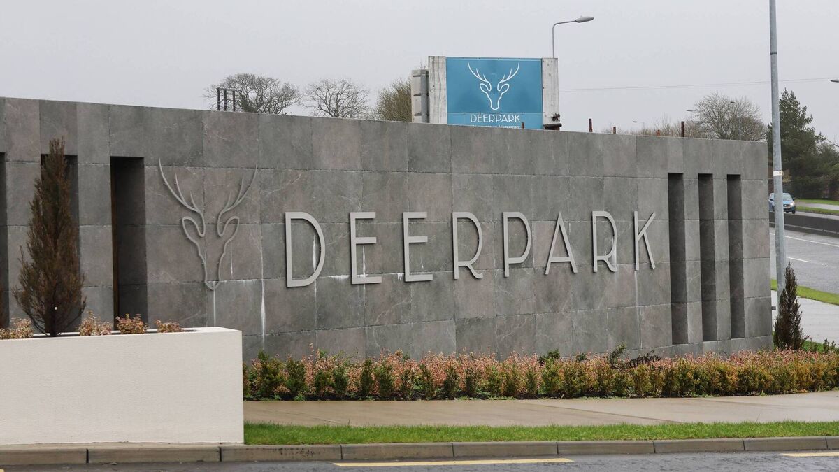 Deerpark residents disappointed by planning decision