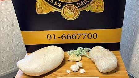 Man arrested as over €540,000 of drugs seized in Co Dublin