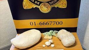 Man arrested as over €540,000 of drugs seized in Co Dublin