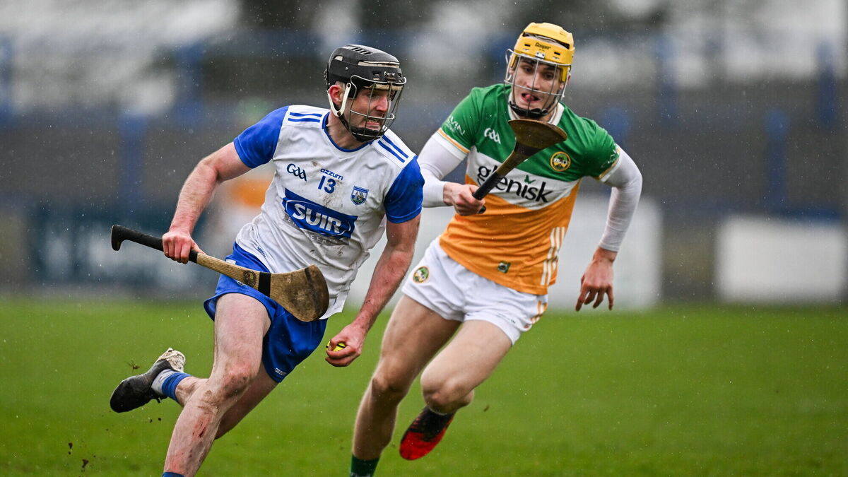 Déise dig out a vital win to win promotion back to Division 1A