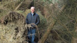 24,000 hectares of forest suffered windblow damage