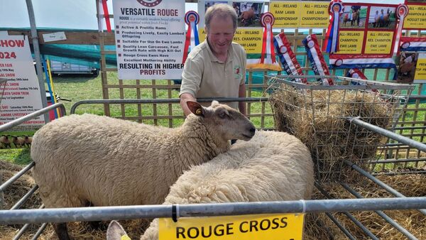 Minister Heydon announces opening of year three of Sheep Improvement Scheme to new entrants