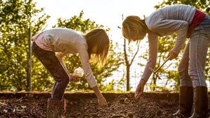 Green Fingers: The gardening season has moved up a gear  Green Fingers: The gardening season has moved up a gear