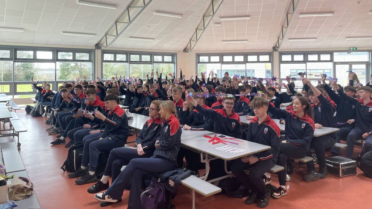 Waterford's Abbey Community College students break star-weaving record