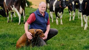 ICMSA say new measures involve all TB burden being lumped onto farmers